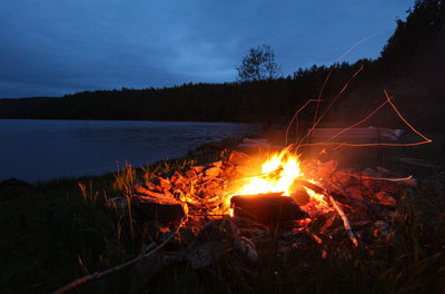 Bonfire by plants against sky at night
