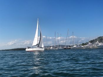 Sailboat sailing on sea against clear blue sky