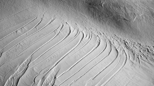 Scenic view of landscape