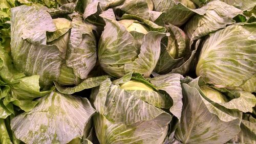 Full frame shot of cabbages for sale at market stall