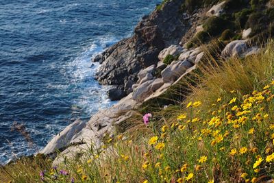 Scenic view of sea by cliff