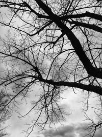 Low angle view of bare trees against sky