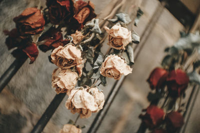 Close-up of wilted rose