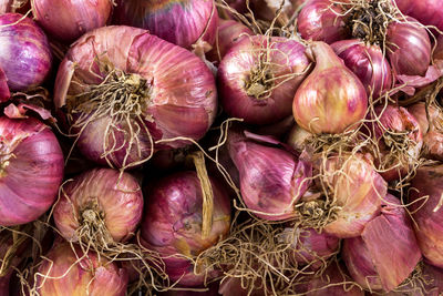 Full frame shot of vegetables for sale at market