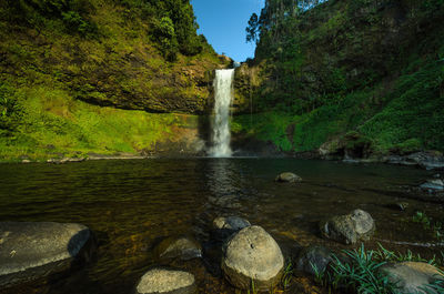 Scenic view of waterfall in forest