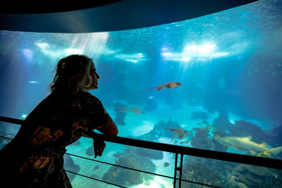 View of fish swimming in aquarium