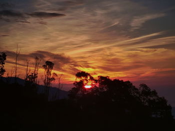 Low angle view of silhouette trees against dramatic sky