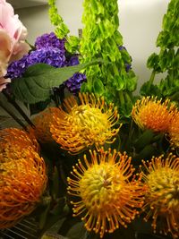 Close-up of flowers