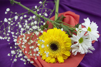 High angle view of purple flowering plant