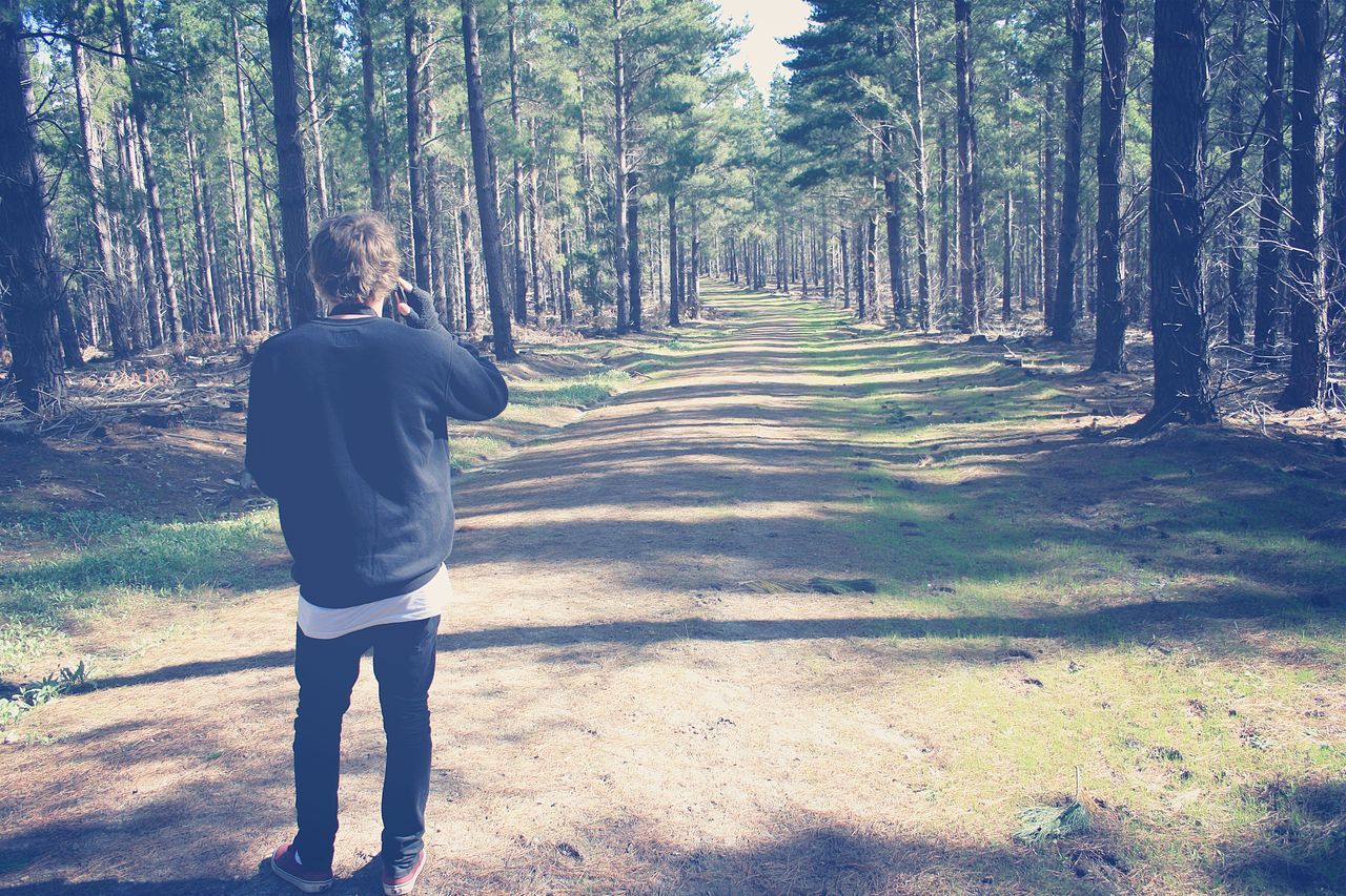 tree, the way forward, rear view, walking, forest, dirt road, full length, lifestyles, diminishing perspective, vanishing point, tranquility, men, leisure activity, nature, tree trunk, woodland, growth, sunlight