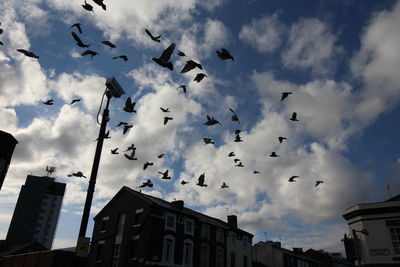 Low angle view of birds flying against cloudy sky