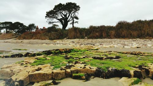 Scenic view of river against sky