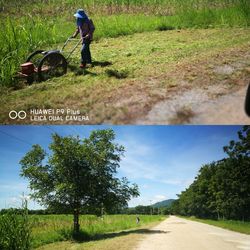 Man on road amidst trees on field