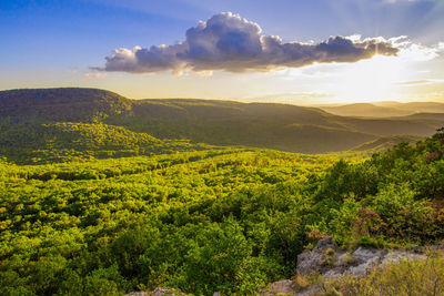 Scenic view of landscape against sky during sunset