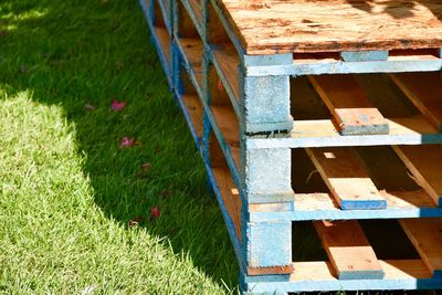 High angle view of plants growing on field