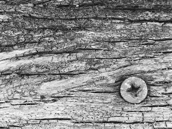 Full frame shot of stone wall