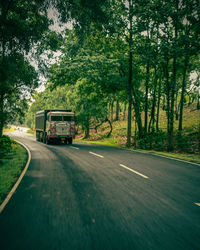 Cars on road against trees in city