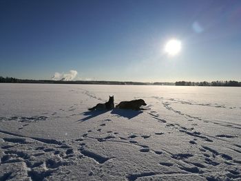 Scenic view of frozen lake against sky during winter