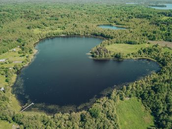 High angle view of lake along trees