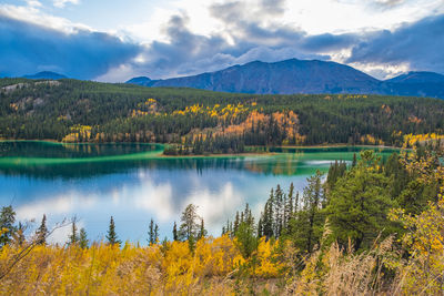 Scenic view of lake by trees against sky