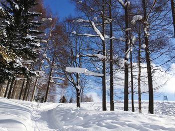 Bare trees on snow covered landscape against sky