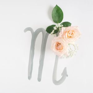 Close-up of rose bouquet against white background