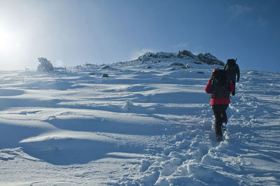 Rear view of people walking on snow covered land