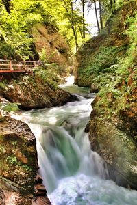 Stream flowing through rocks