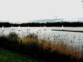 Scenic view of lake