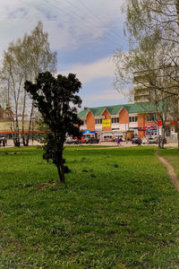 Trees and houses on field by buildings against sky