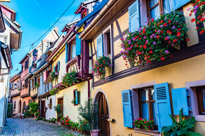 Low angle view of potted plants on building