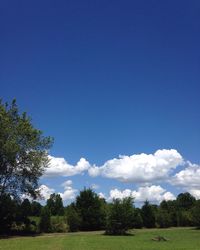 Scenic view of grassy field against cloudy sky