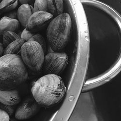 Close-up of clams in colander