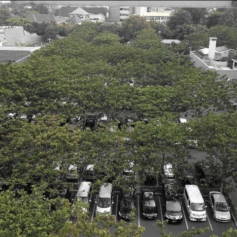 building exterior, tree, car, architecture, built structure, land vehicle, high angle view, transportation, city, street, green color, road, mode of transport, residential building, house, growth, residential structure, day, outdoors, incidental people