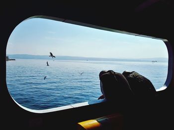 Close-up of bird flying over sea against sky