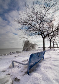 Bench in park during winter