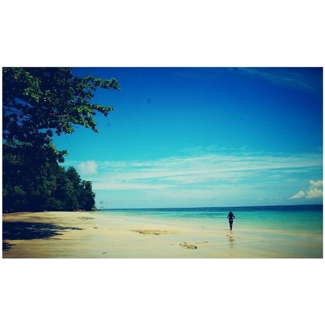 water, sea, transfer print, beach, horizon over water, sky, tranquil scene, tranquility, leisure activity, scenics, auto post production filter, shore, lifestyles, beauty in nature, tree, blue, men, nature, vacations