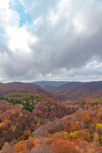 Scenic view of landscape against sky during autumn