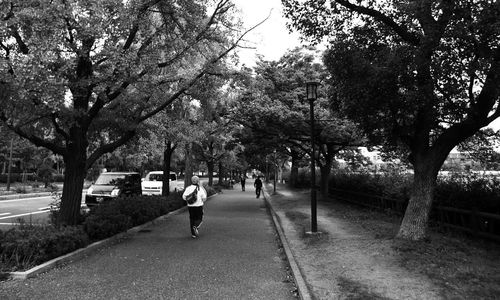 People walking on road along trees