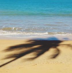 Scenic view of beach