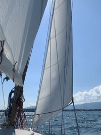 Sailboat sailing in sea against sky