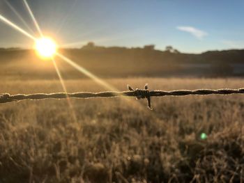 Barbed wire fence on field against sky