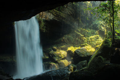 Natural waterfall in the deep forest