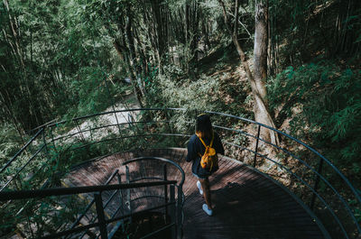 Rear view of man sitting on staircase in forest