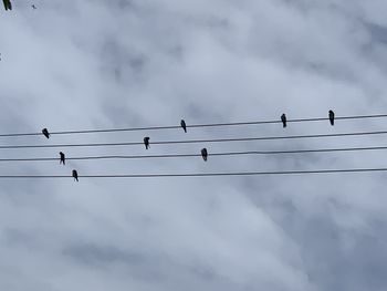 Low angle view of power lines against sky