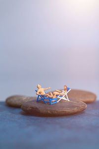 Close-up of crab on table