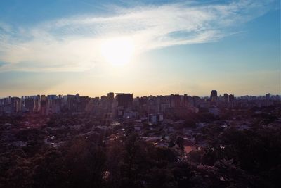 Aerial view of ibirapuera's park in the beautiful day, são paulo brazil. great landscape.