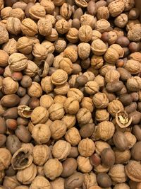 Full frame shot of coffee beans