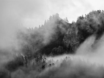Low angle view of trees against sky