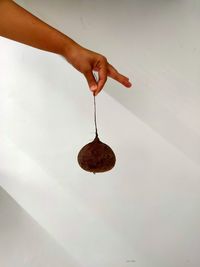 Close-up of hand holding umbrella